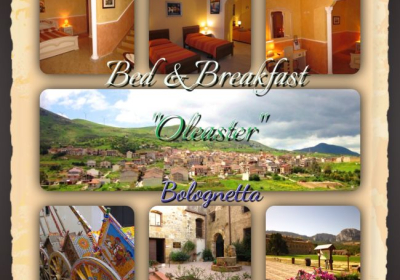 Bed And Breakfast Oleaster